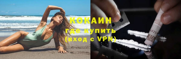 спиды Богданович