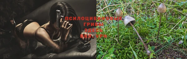 молекула духа Аркадак