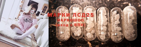 спиды Богданович