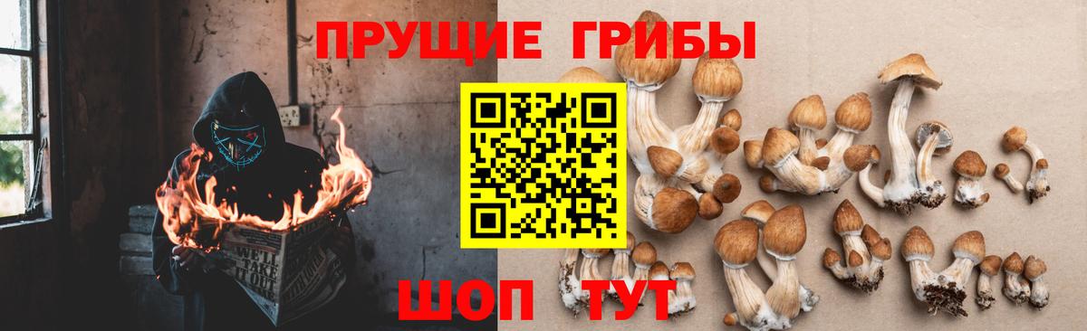 Междуреченск  цена   Вход с VPN  Псилоцибиновые грибы мухоморы 